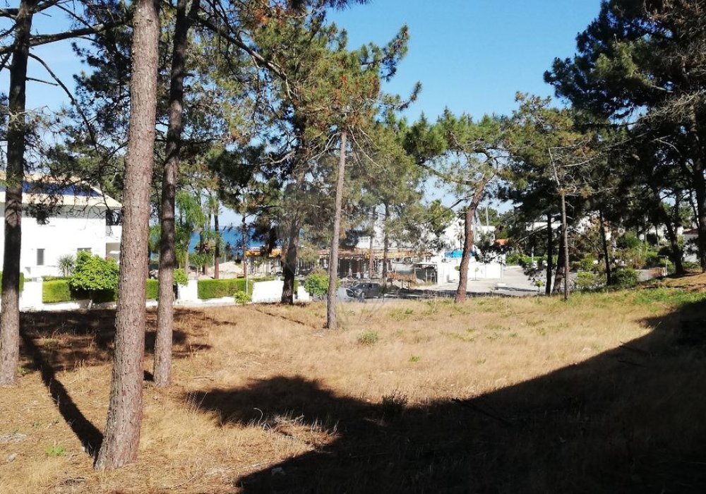 1767e763-a76b-4069-ad2d-0dd63b2243f3