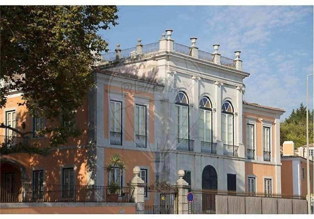 412502f6-f5f3-43f3-8075-bf6e89c56096