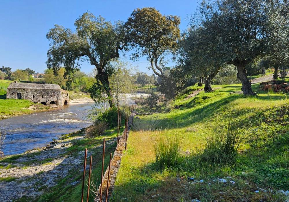 7701d14b-294d-44fb-bf4c-2c0d70bf086b