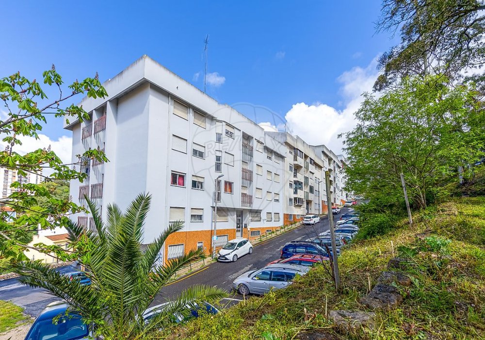 8ddc5d82-9c18-48de-b43a-383583d37cc4