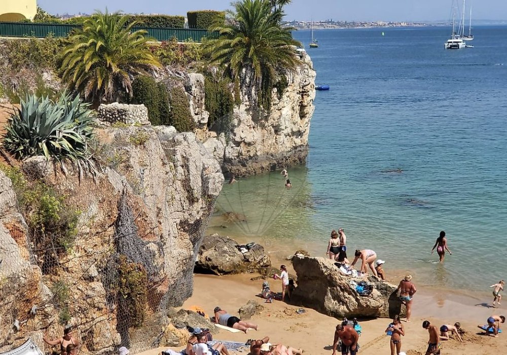 93978392-8738-4ba8-81a9-4c9f07e2d4dd