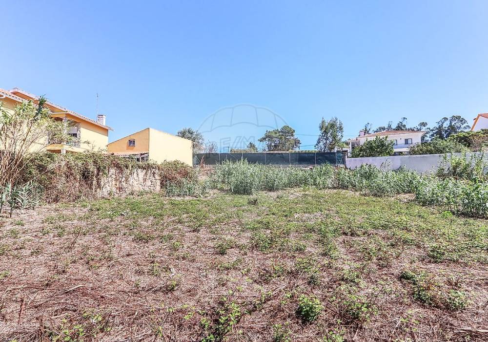 a171574b-b3ab-4928-bb48-12a28ba0a5b4