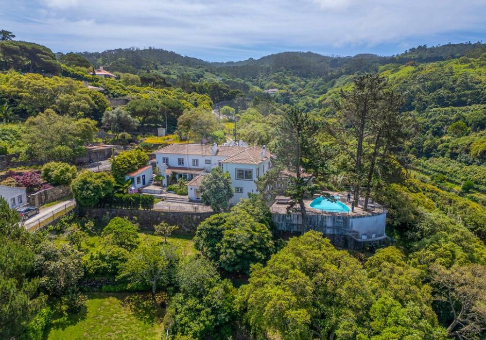 b525d9ca-32b7-4ad2-9a41-4a40688a9828