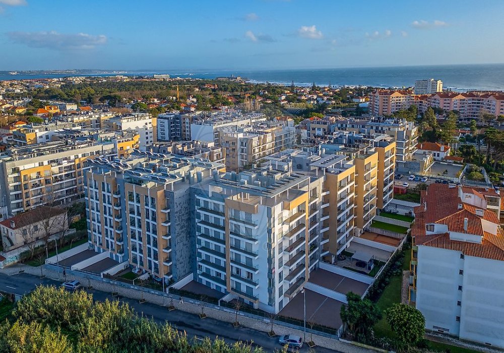 b9dc614d-4ff3-474e-83b3-f36b3c37ef51