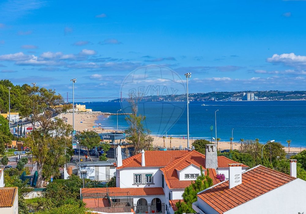 d47786ae-6540-48c1-95e1-03323b4bf333