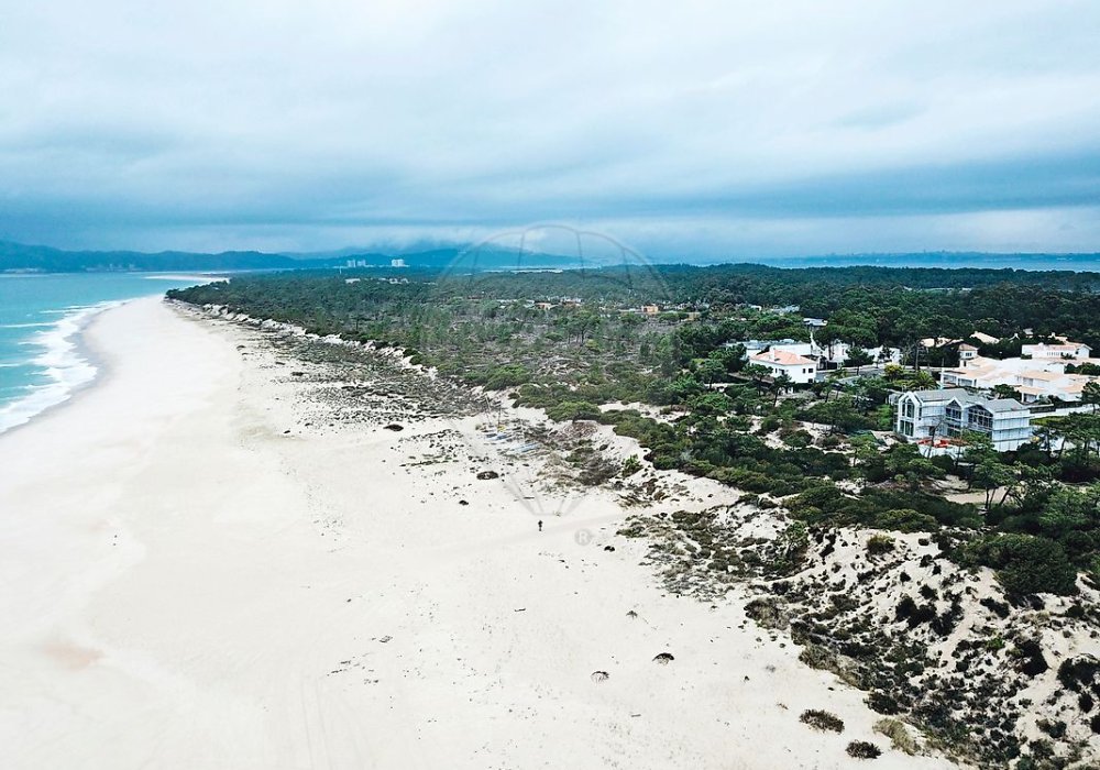 d56012bf-6f77-4037-9009-55d9c678b88d