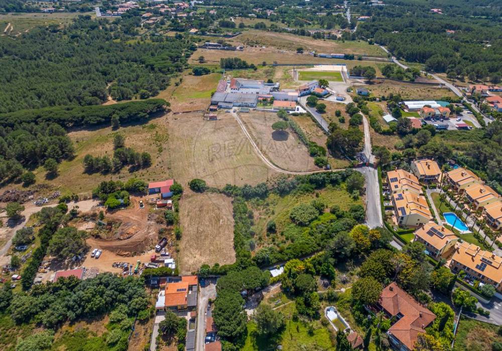 ea31e235-3fdb-4988-a929-446580b6a7d6